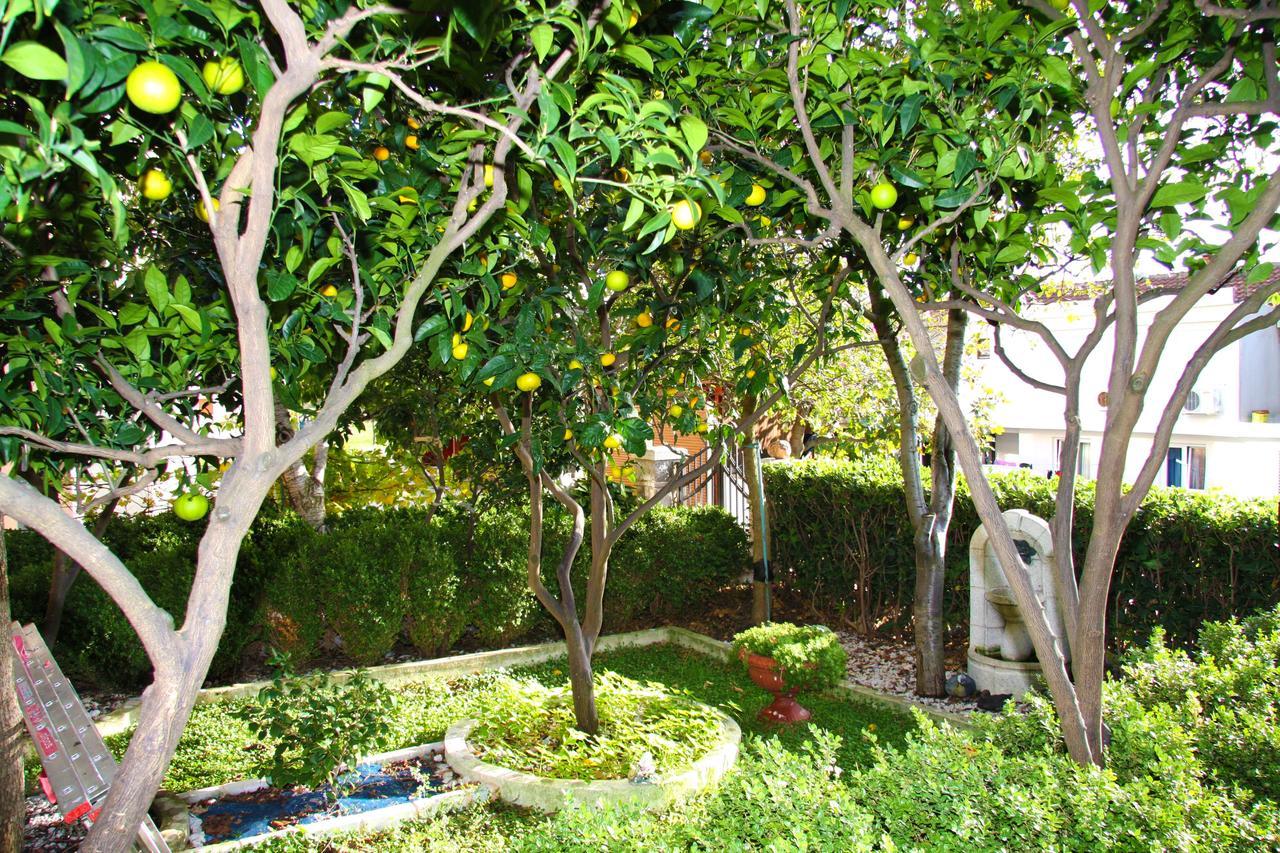 Mm Kovacevic Apartments Petrovac Buitenkant foto